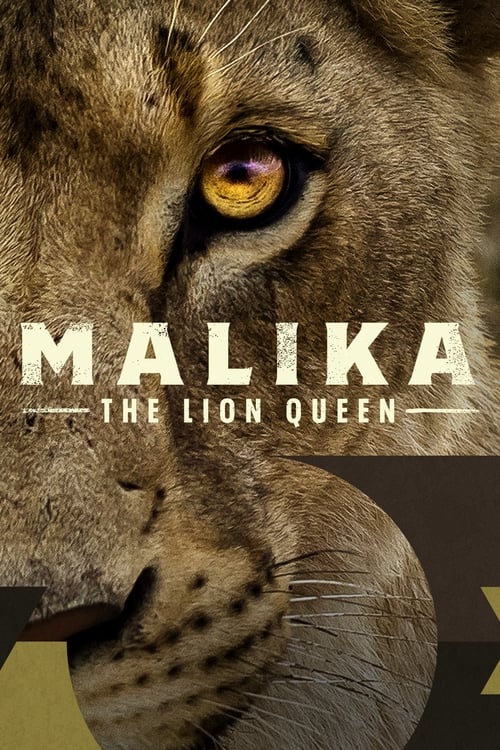 ดูหนังออนไลน์ฟรี Malika the Lion Queen (2021) มาลิก้า เดอะ ไลออนควีน
